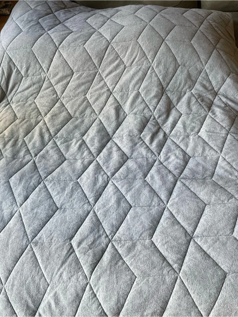 Pottery Barn Kids Gray Jersey Twin Quilt Reversible